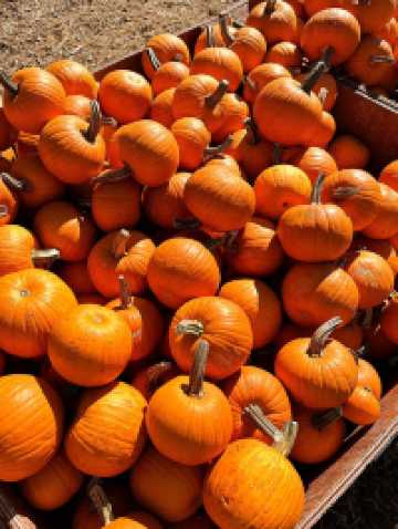 玩轉米爾頓田園風光