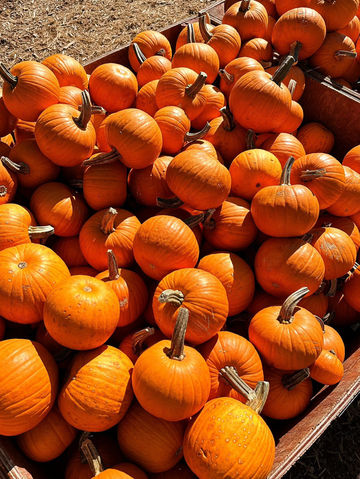 玩轉米爾頓田園風光 玩轉米爾頓田園風光