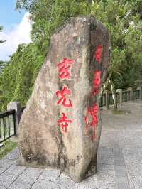 日月潭與蛙共度美好時光