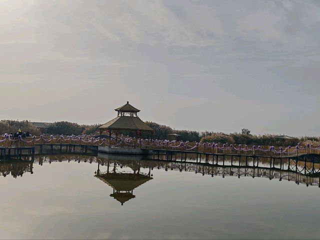 The Charm of a Water Town in Autumn