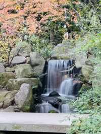 🍜紅葉とグルメで満喫する秋の博多旅🍂