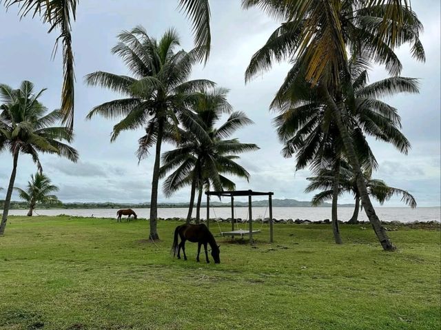 DoubleTree Resort by Hilton Fiji: Tropical Luxury and Relaxation DoubleTree Resort by Hilton Fiji: Tropical Luxury and Relaxation
