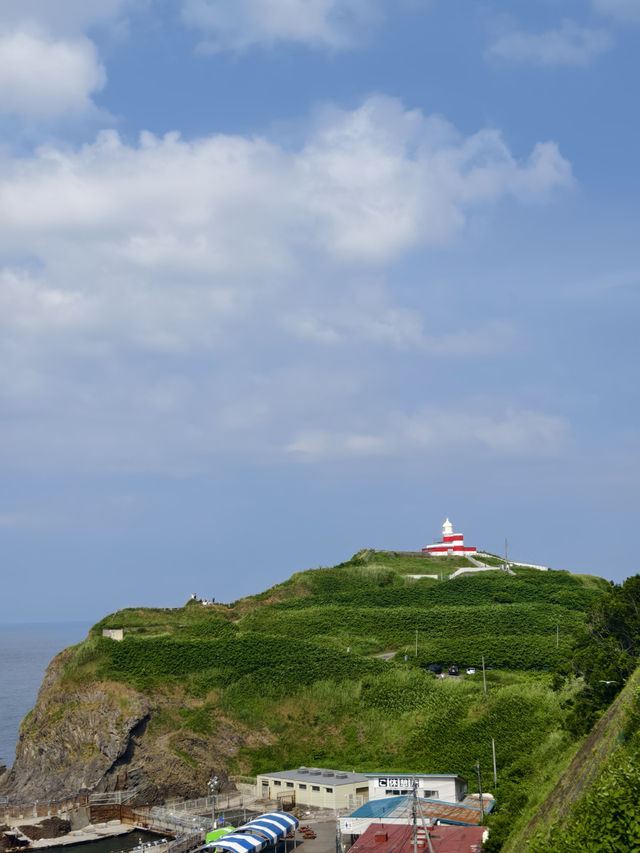 親子必去水族館人氣景點 親子必去水族館人氣景點