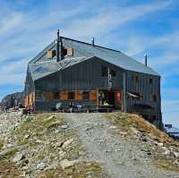 Chasing the Pink Tune of La Lire Rose