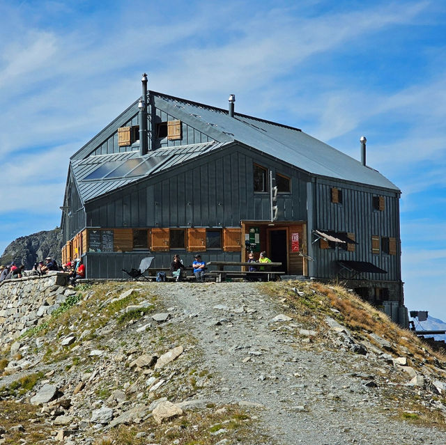 Chasing the Pink Tune of La Lire Rose