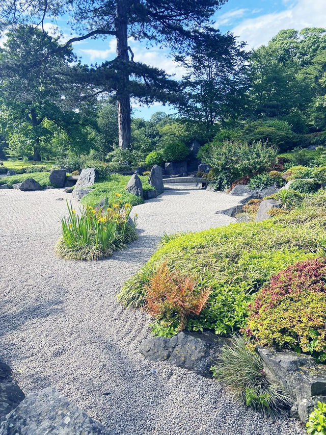 Your Spring Awakening: A Solo Escape to Kew Gardens