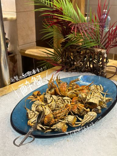 アジアン家具 -conch-コンク 上海蟹食べ放題🦀】老舗の王宝和で食べる絶品上海蟹！！ | Trip.com 上海