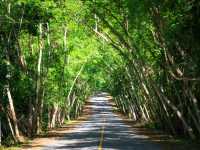 อุทยานแก่งกระจาน ที่เที่ยวสำหรับคนสายรักษ์ธรรมชาติ