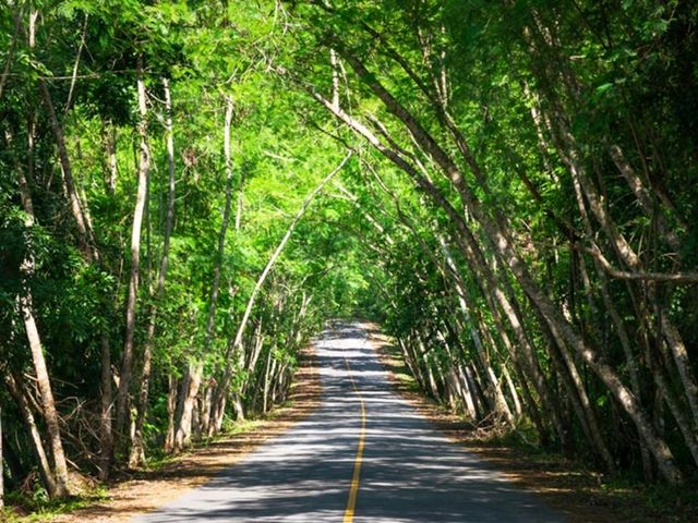 อุทยานแก่งกระจาน ที่เที่ยวสำหรับคนสายรักษ์ธรรมชาติ อุทยานแก่งกระจาน ที่เที่ยวสำหรับคนสายรักษ์ธรรมชาติ