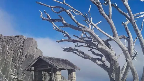 Touching the Sky at The Horn, Mount Buffalo — traveler post in Bright
