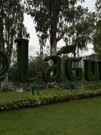 Лагуна - лучший район для проживания с детьми