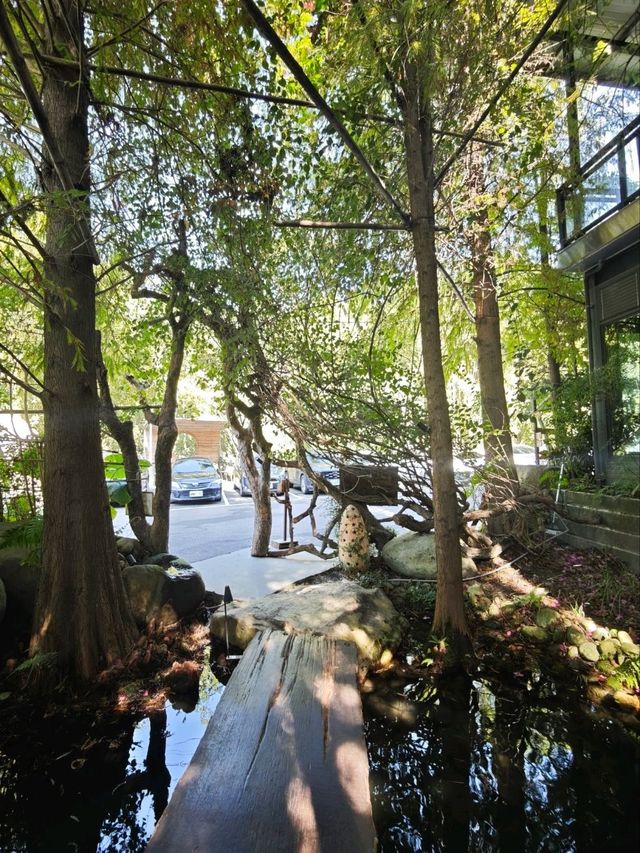 🌲落羽松秘境中的蔬食饗宴#🌿 澄石享自在-臺中市北屯區