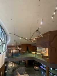 Shanghai Natural Museum 🐒🫎🦕🦖🦑🐋