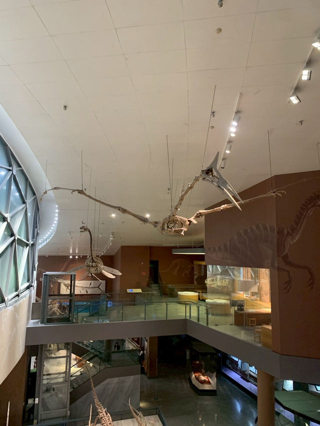 Shanghai Natural Museum 🐒🫎🦕🦖🦑🐋
