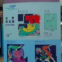 แพลนเที่ยวเซี่ยงไฮ้ภายใน 8 ชั่วโมง