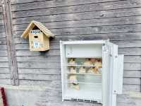 Grindelwald Dreamtrip🌞