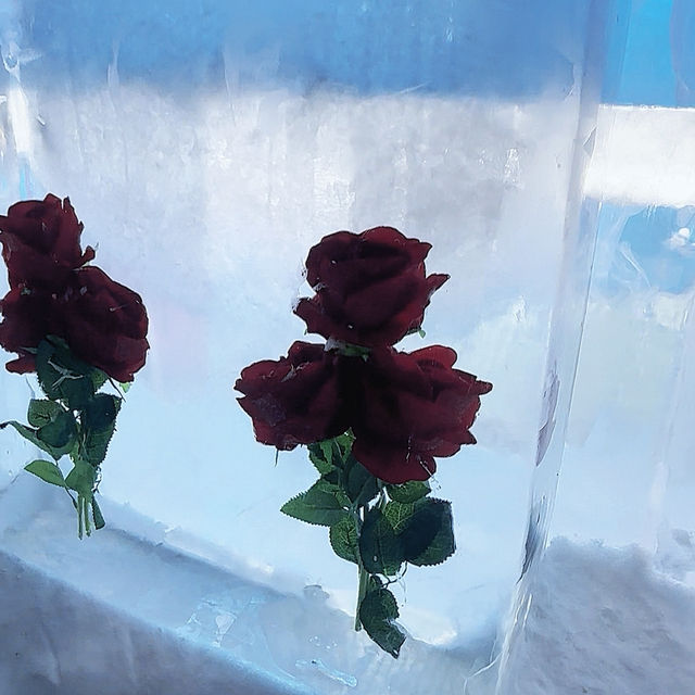 Harbin Ice and Snow World Chill Guide ❄️🧊☃️ Harbin Ice and Snow World Chill Guide ❄️🧊☃️