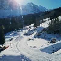 Ski Grindelwald Now🏔️