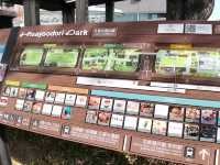 名古屋市中心綠洲🌿｜網紅水池打卡攻略💕