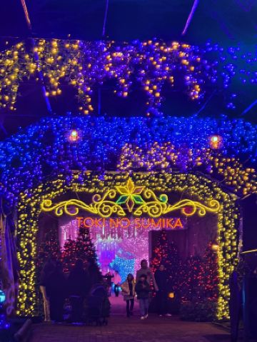 Tokino Sumika是位於日本靜岡縣御殿場市的一個大型綜合度假休閒設施，正式名稱為「御殿場高原 時之栖」。

它坐落在富士山腳下，佔地約10萬坪，是距離富士山最近的大型綜合度假勝地之一，以「光與綠的放鬆度假地」為概念，集結了非常多樣化的設施，適合家庭、情侶、朋友、商務、團體活動等各種需求。

主要設施與特色:
😎住宿：有多種酒店選擇，包括御殿場高原酒店、Hotel Clad、Hotel Tokinosumika 等，從高級到親民型都有，許多房間能直接眺望富士山。
😎溫泉：御殿場高原溫泉「氣樂坊」（kirakubo），有露天風呂、大浴場、桑拿等，採日歸或住宿皆可使用。
😎餐飲：各式餐廳、咖啡廳、自助餐、啤酒餐廳，還有名產「御殿場高原啤酒」自釀啤酒。
😎活動與娛樂：美術館、運動設施、露營區、婚禮教堂、會議廳等。
😎最著名項目：每年冬季舉辦的超大規模イルミネーション「ひかりのすみか」（光之棲），使用數百萬顆燈泡，2025-2026年已邁入第30周年，主題常為「魔法森林」等，規模與品質在日本關東地區名列前茅，曾獲夜景遺產認證。
———
Tokino Sumika 
📬 〒412-0033 静岡県御殿場市神山719
#御殿場高原時之栖 #TokinoSumika #日本燈飾 #イルミネーション #御殿場市 #御殿場市自由行 #御殿場市旅行 #東京 #東京旅行 #東京自由行 #日本旅行 #日本自由行 #日本
#1月好去處2026 