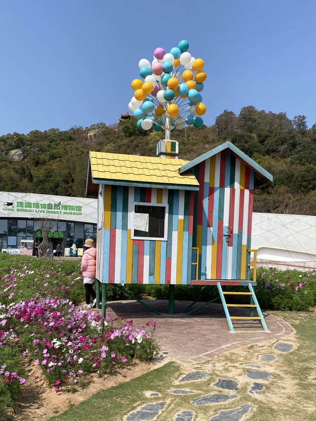 期間限定,去日月貝,別忘走上環島綠道看花海🌺🌸 期間限定,去日月貝,別忘走上環島綠道看花海🌺🌸