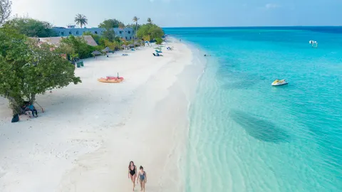 ☀️ Bohol’s Dreamy Quinale Beach: White Sands & Coconut Vibes 🌴 — traveler post in Anda
