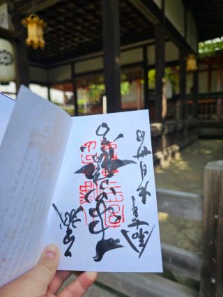 Deer Magic & Ancient Charms at Nara Park 🦌🌸