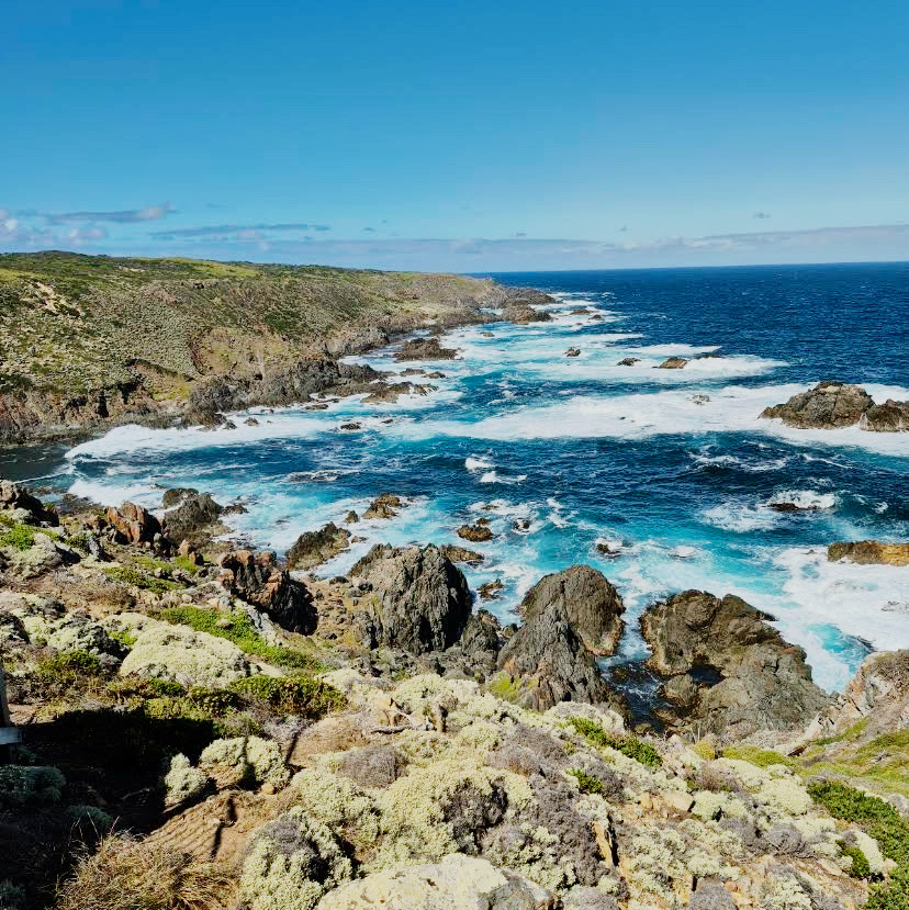 Majesty of King Island