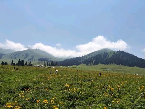 Itinerary check in zhaosu Grassland 