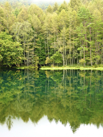 A breathtaking landscape woven from greenery and tranquility: the