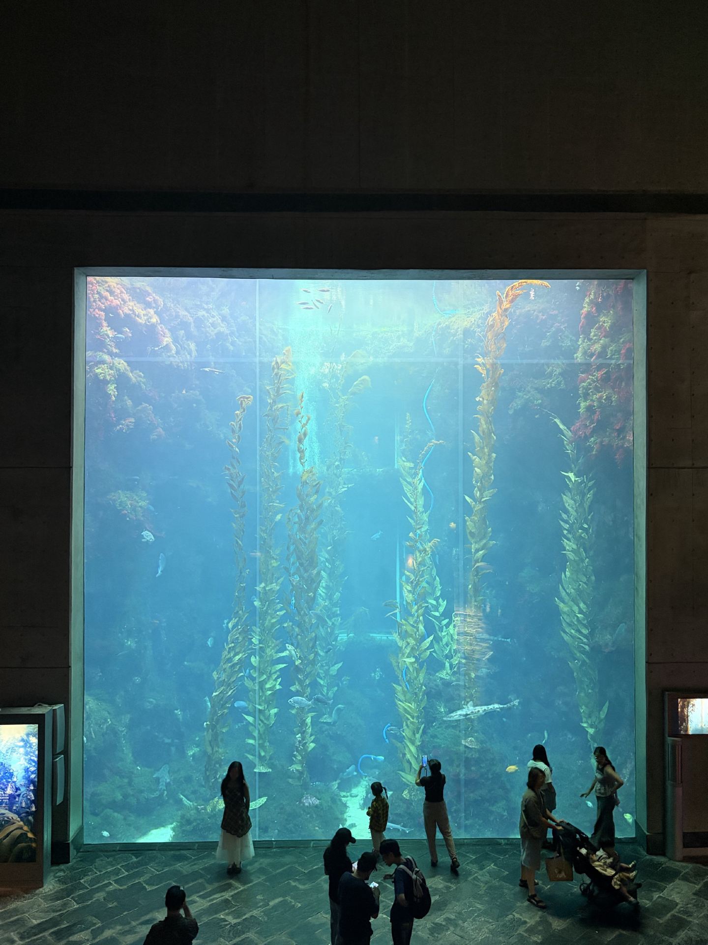 National Museum of Marine Biology and Aquarium, Pingtung, Taiwan.
