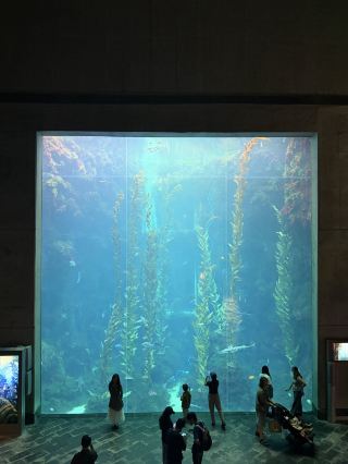 National Museum of Marine Biology and Aquarium, Pingtung, Taiwan.