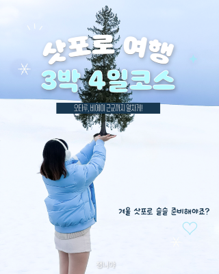 겨울하면 삿포로! 근교까지 전부 포함한 코스