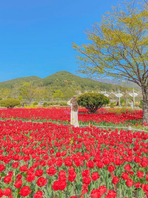 사랑의 고백, 양산 황산공원🌷