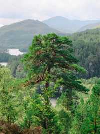 Stunning Glen Affric, Scotland🏴󠁧󠁢󠁳󠁣󠁴󠁿🌲