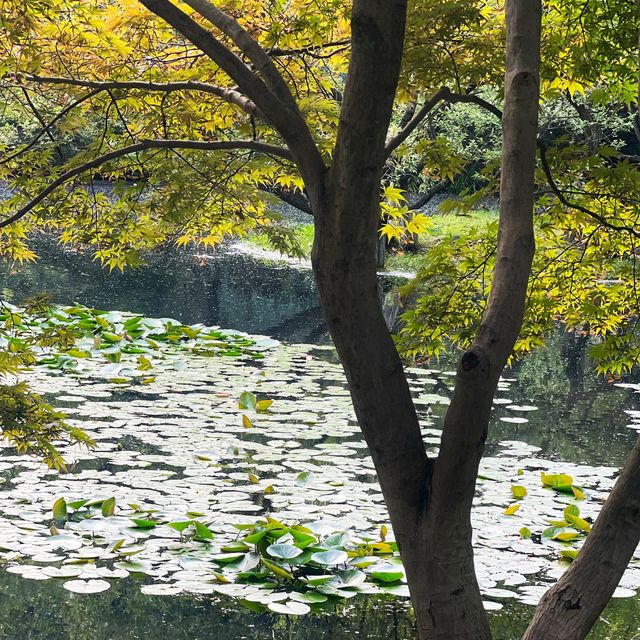 "Discover the Serenity and Beauty of Hangzhou