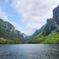 Fjords Magic