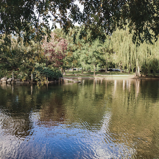 Boston Public Garden