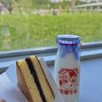 就像踏入了宮崎駿的世界❗️名古屋旅遊✈️
