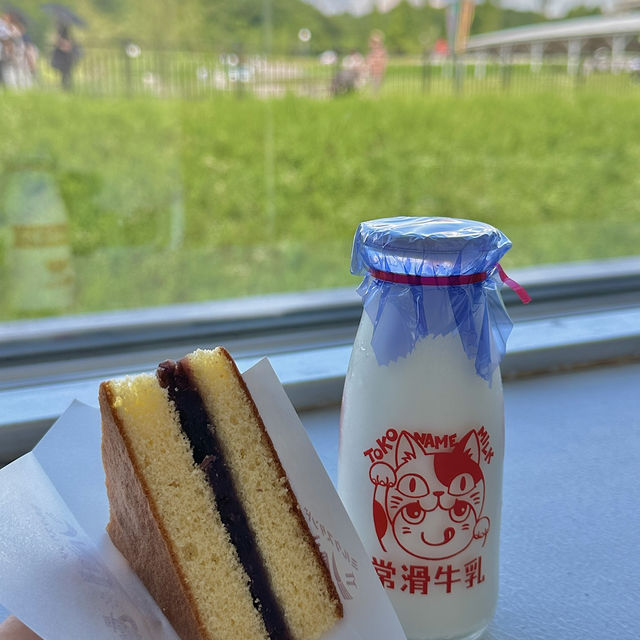 就像踏入了宮崎駿的世界❗️名古屋旅遊✈️