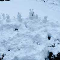 【金沢市🇯🇵兼六園】雪景色に包まれて☺️庭園散策