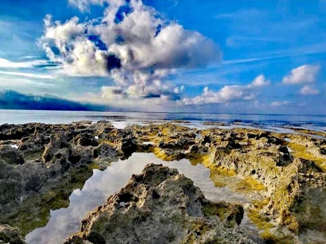 厚石海岸