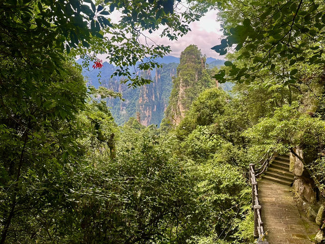 Exploring the Avatar World ⛰️🌏