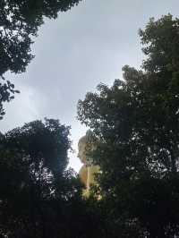 天井に広がる宇宙🪐✨🇹🇭バンコクの寺院【ワット・パークナム】
