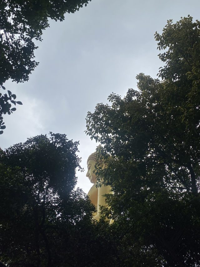 天井に広がる宇宙🪐✨🇹🇭バンコクの寺院【ワット・パークナム】