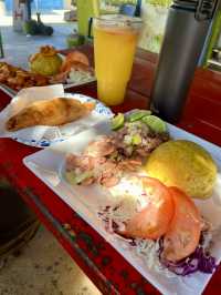 Tropical Dreamscape🌴