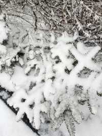 ​🎆❄️【河口湖冬日限定】夜空絢爛煙花 × 奇幻冰窟冒險 🏔️✨