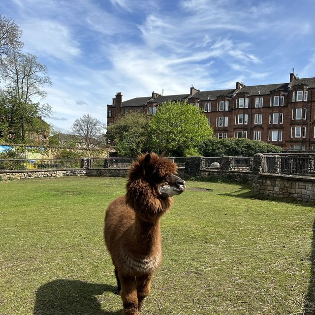 Tollcross farm park