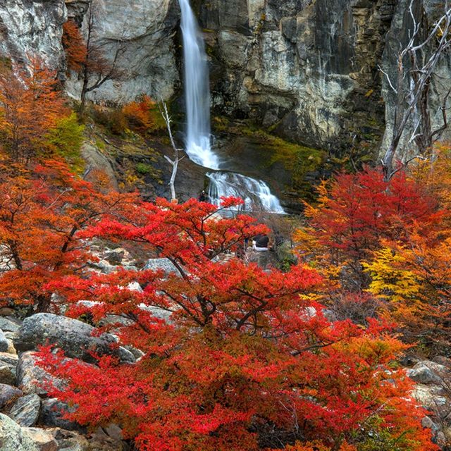 🍁 Patagonia 