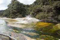 Enchanting Rendezvous in Rotorua 🌋